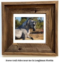 horse trail rides near me in Loughman, Florida